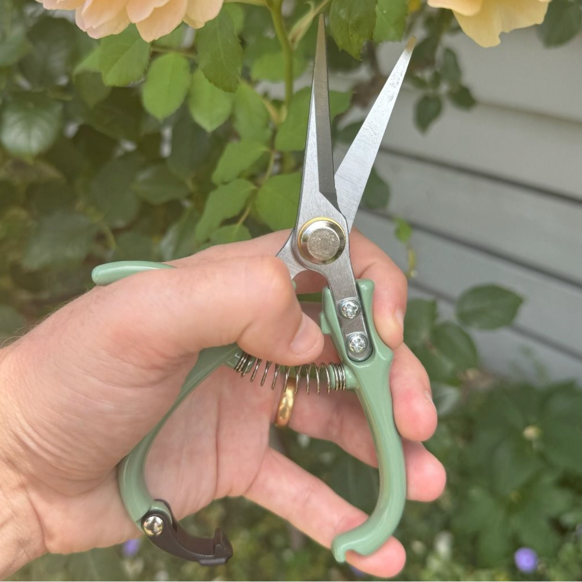 Hand holding a pair of green gardening shears with a blurred background of greenery and a house.