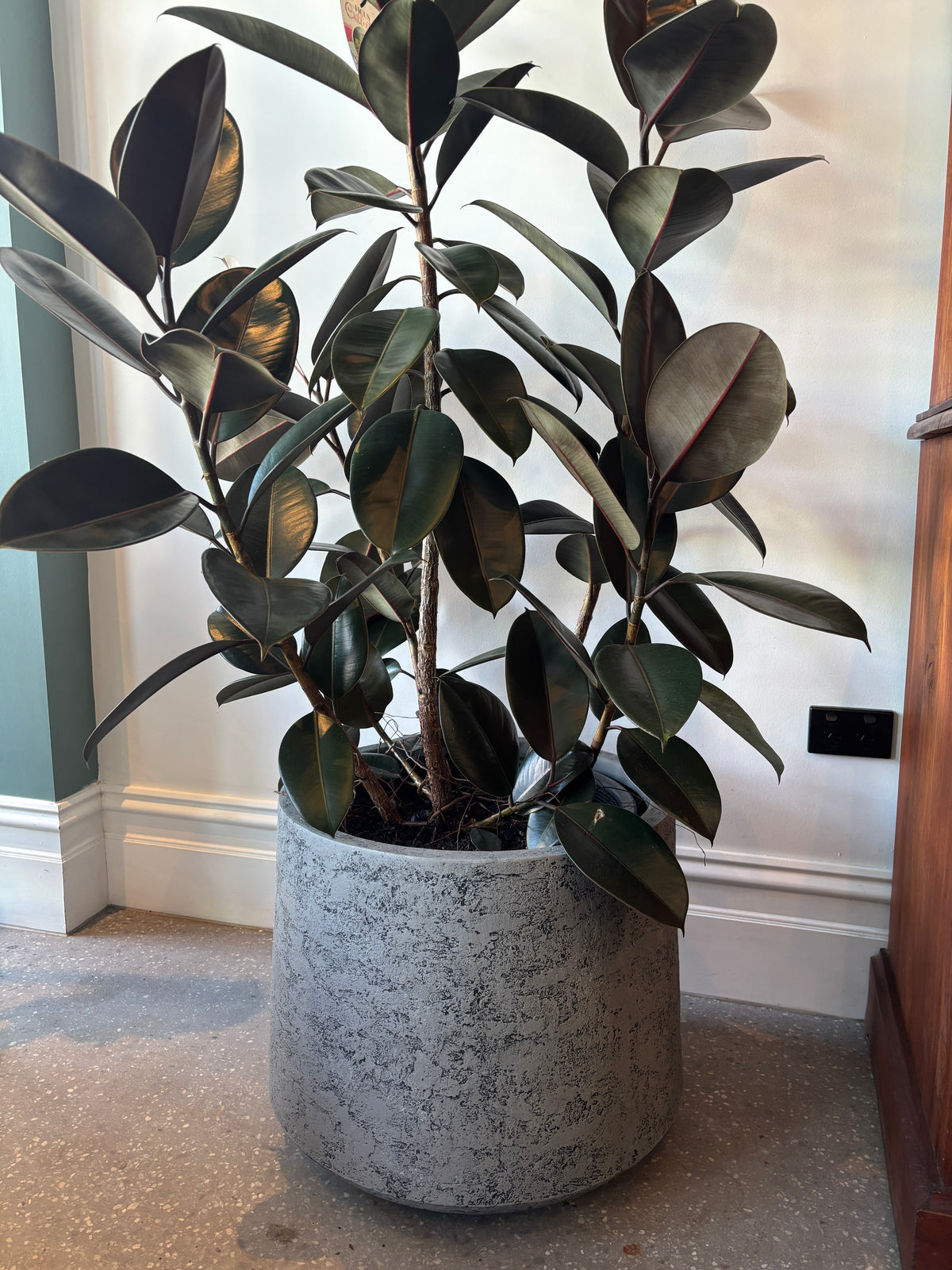GardenLite Torino Planter