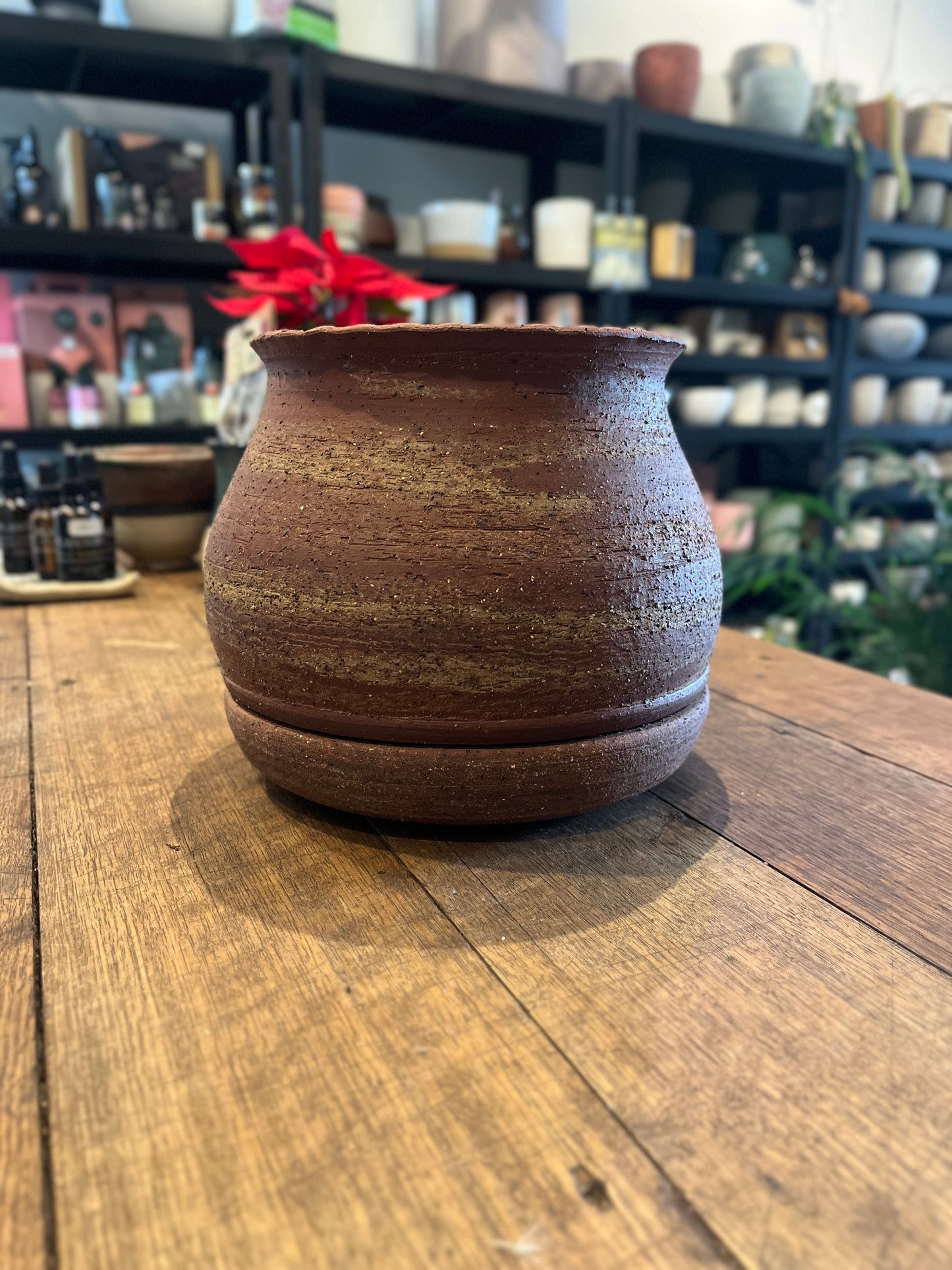 Merriam Planter by TONiC Ceramics