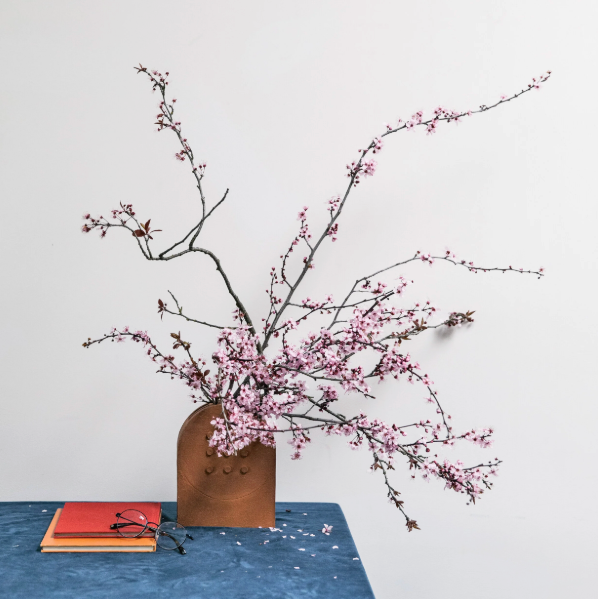Ikebana Unbound
