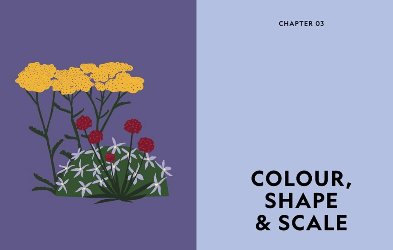 Book cover with floral illustration and text 'Colour, Shape & Scale' on a two-tone background