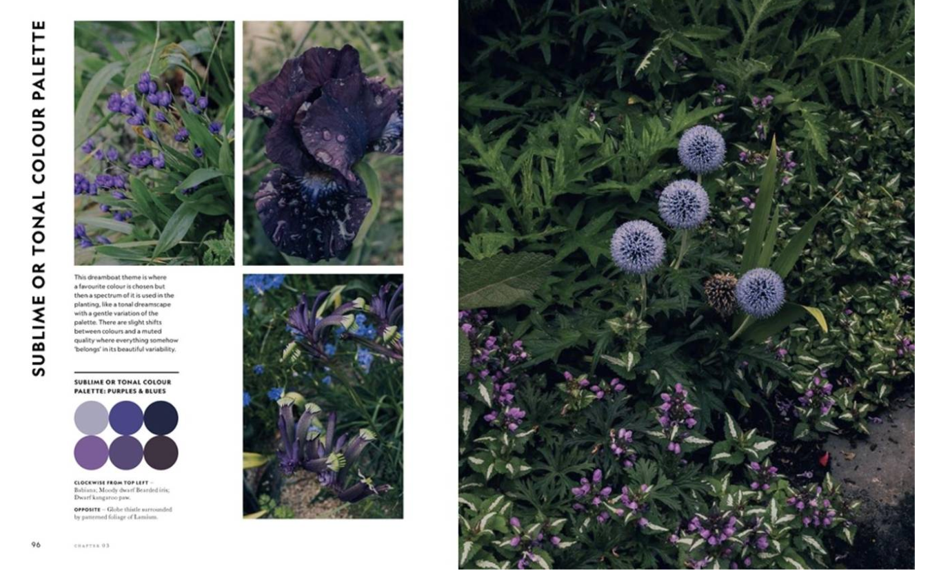 Garden scene with purple and green plants, color palette on the left.