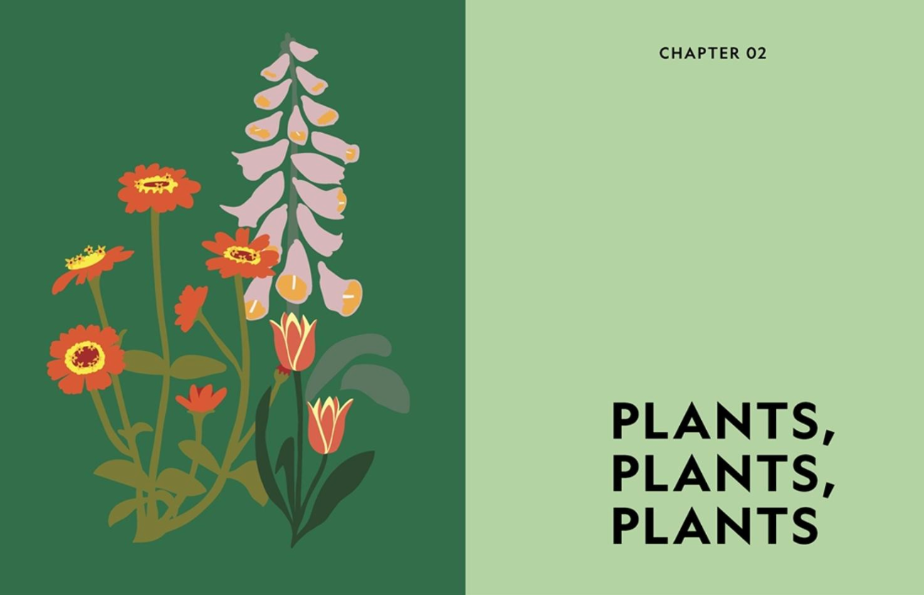 Book cover with illustrations of flowers on a green and beige background, featuring the text 'PLANTS, PLANTS, PLANTS' and 'CHAPTER 02'.