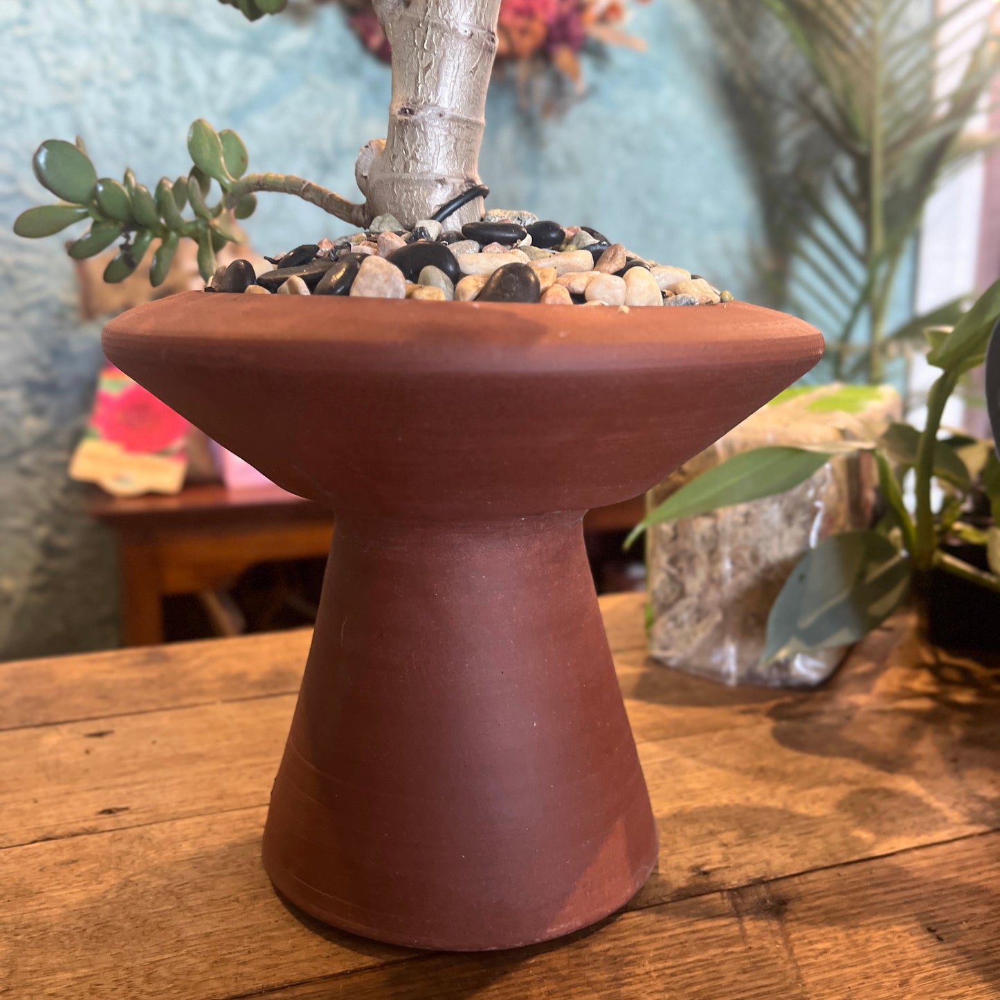 Terracotta pot on a wooden surface with plants in the background