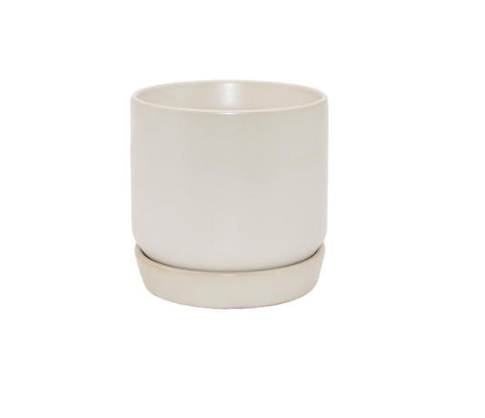 White ceramic planter on a white background