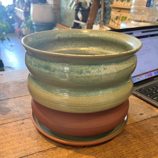 Mahogany Curves in Green Tea by Tonic Ceramics