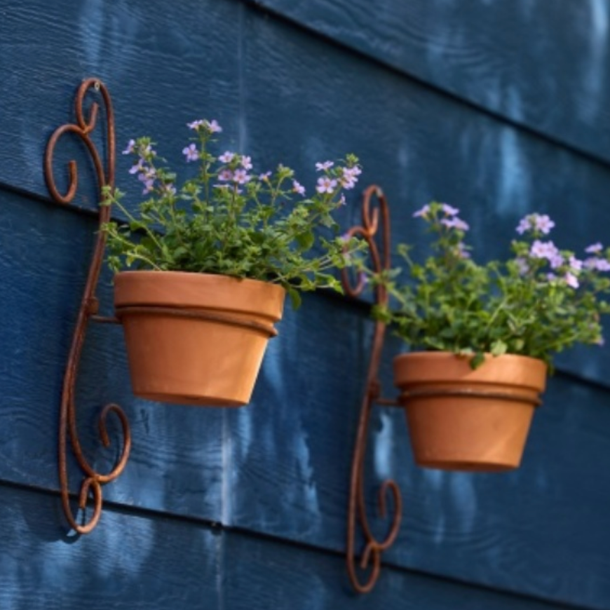 Two terracotta flower pots with green plants and small purple blossoms, mounted on rusted metal wall hangers against a dark blue wooden siding background.