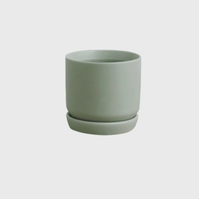 Green ceramic pot on a white background