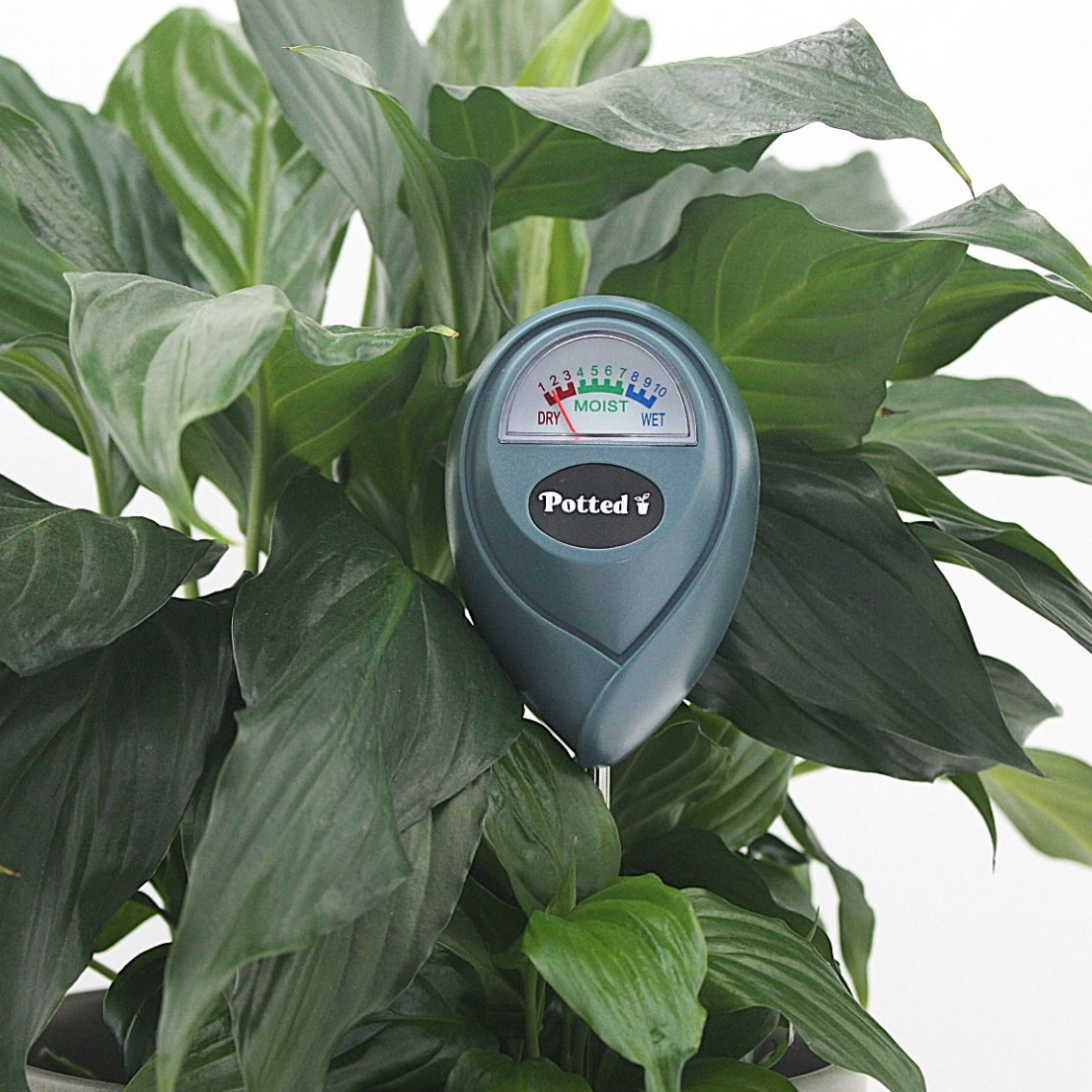 Indoor Moisture Meter Navy
