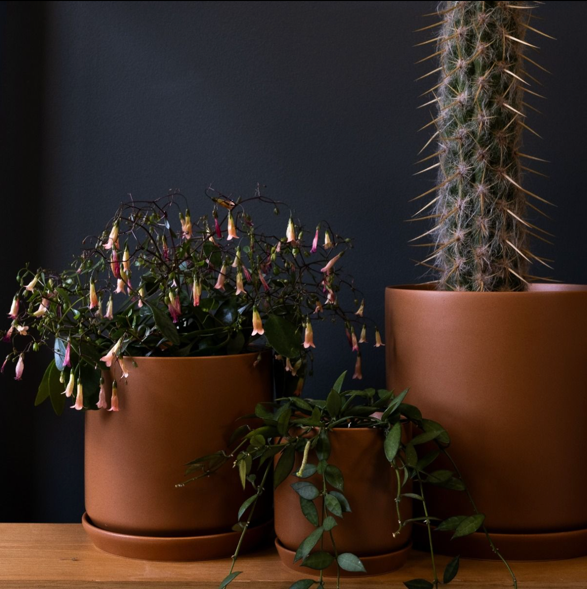Oslo Planter Cinnamon - Large