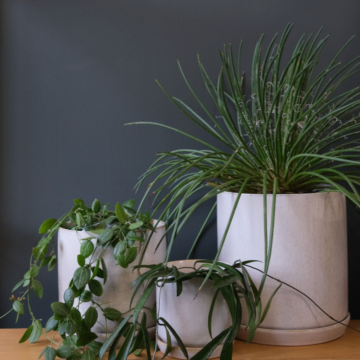 Oslo Planter Sandstorm - X Large