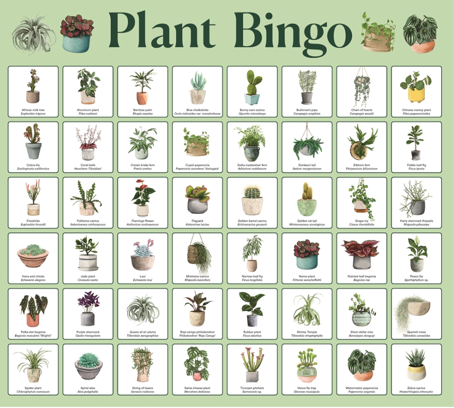 Plant Bingo card with various potted plants on a green background