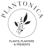 Plantonica