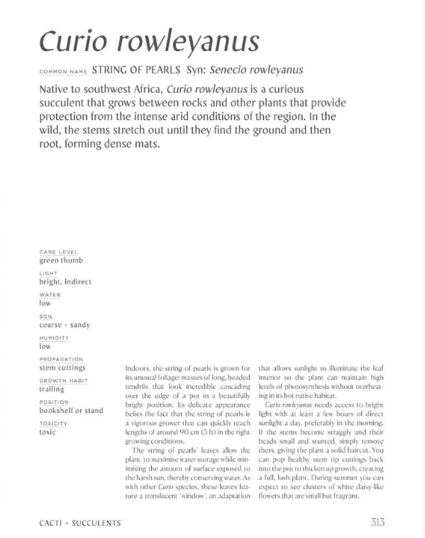 A printed page with the title 'Curio rowleyanus' and descriptive text about a succulent plant, including a small color chart and botanical notes on a white page.