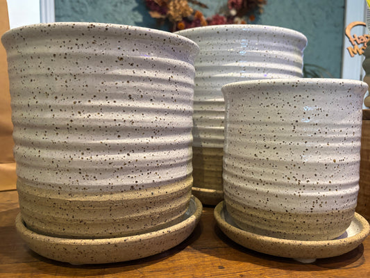 Richard Walsh Ribbed Planters