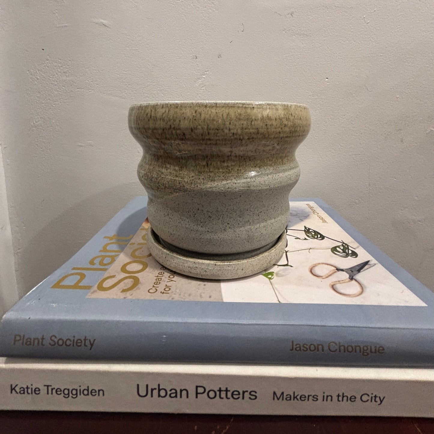 A small handmade ceramic planter pot with a matching saucer, featuring a textured speckled glaze in muted oatmeal glaze, displayed on top of books.