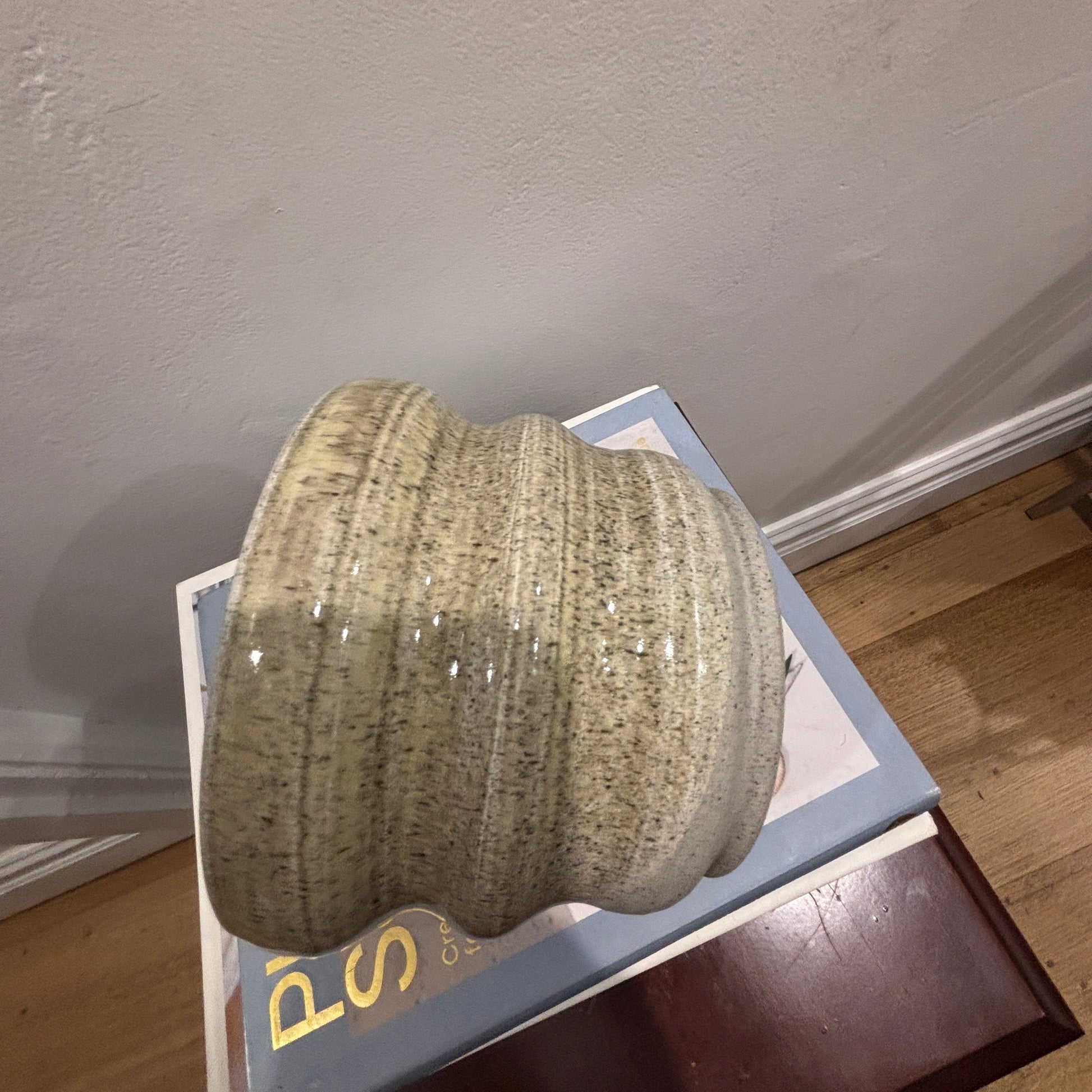 A ribbed ceramic planter with a speckled oatmeal glaze, displayed on top of a book on a wooden table against a textured wall.