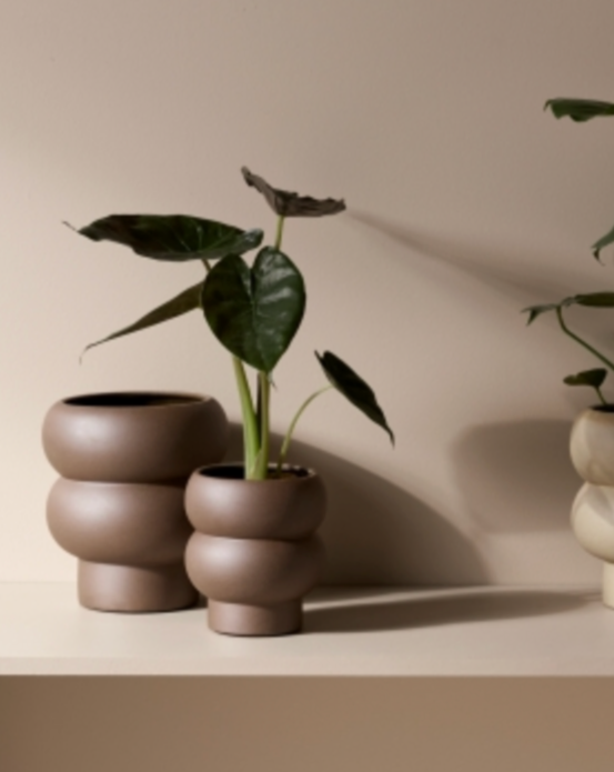 Billie Planter ~ Umber