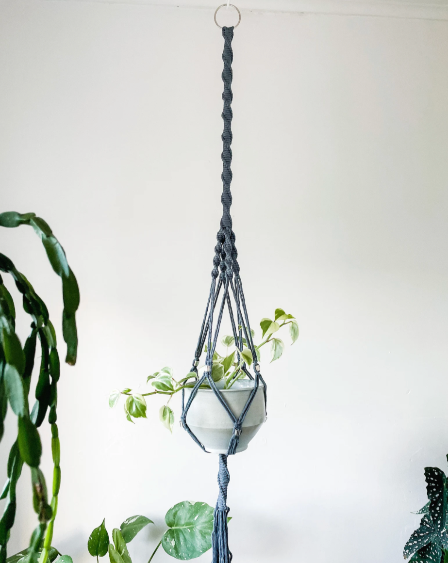 macrame plant hanger australia Macrame Plant Hangers ~ Ficus – Plantonica