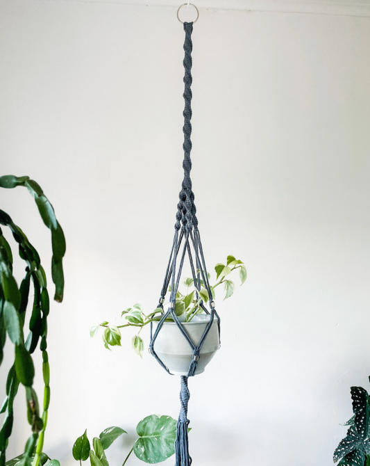 Macrame Plant Hangers ~ Ficus