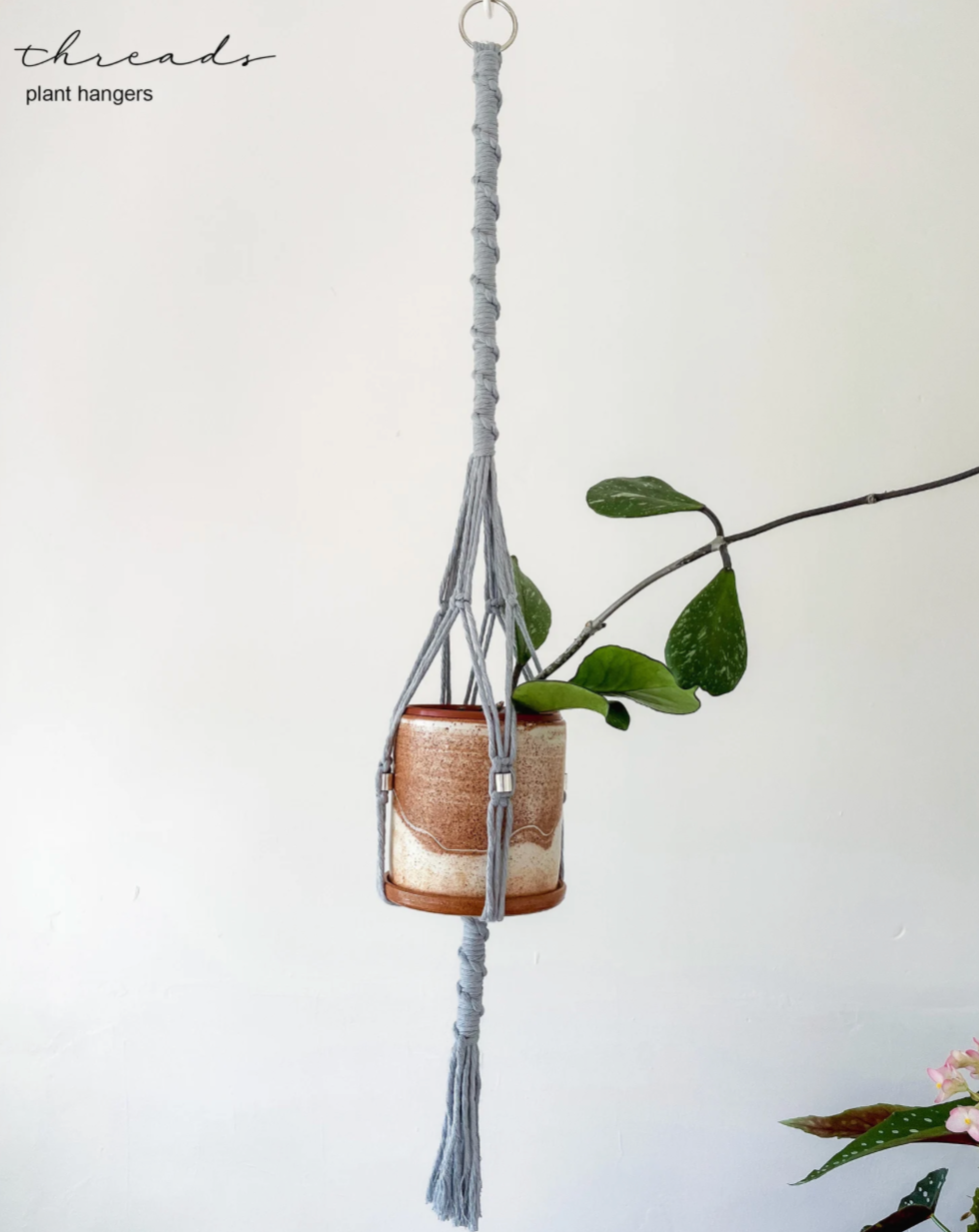 Macrame Plant Hangers ~ Maranta