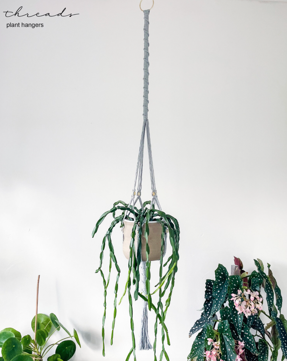 Macrame Plant Hangers ~ Maranta