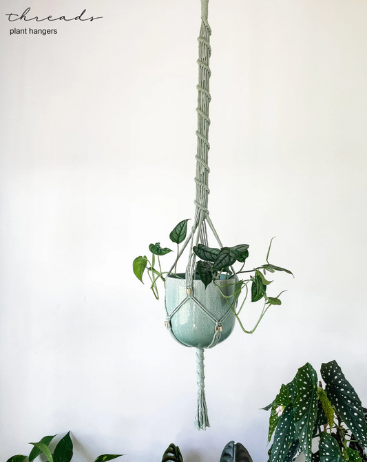 Macrame Plant Hangers ~ Hoya