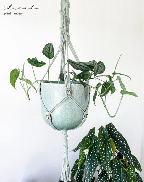 Macrame Plant Hangers ~ Hoya
