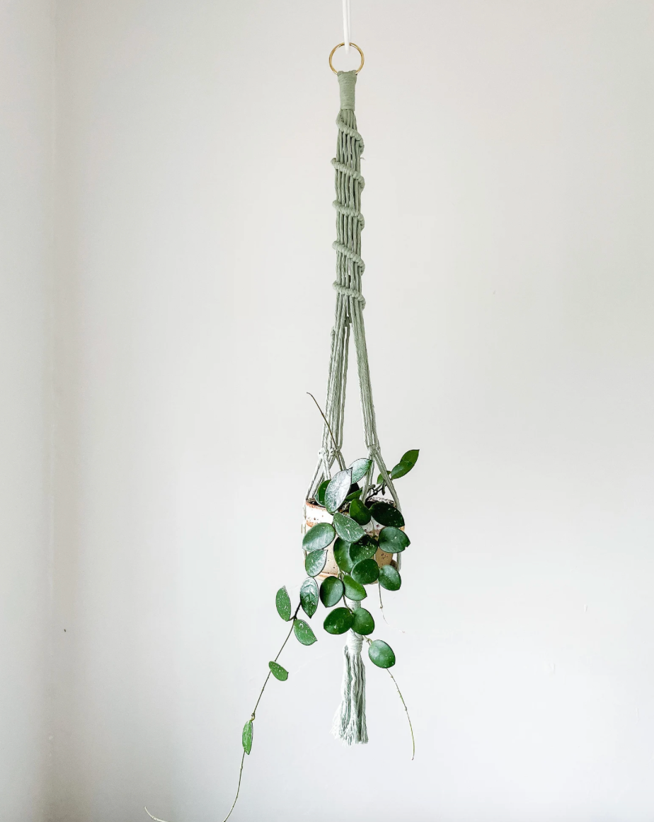 Macrame Plant Hangers ~ Hoya