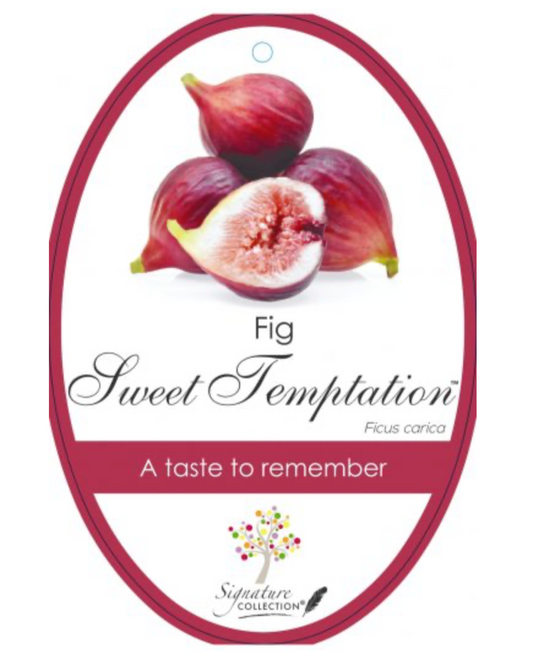 Fig Sweet Temptation