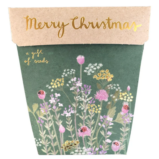 Christmas Herbs Gift of Seeds