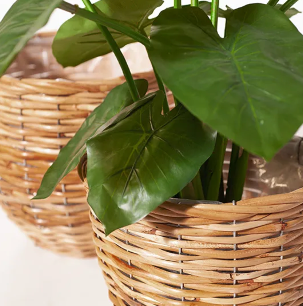 Rattan Pot - Set of 2