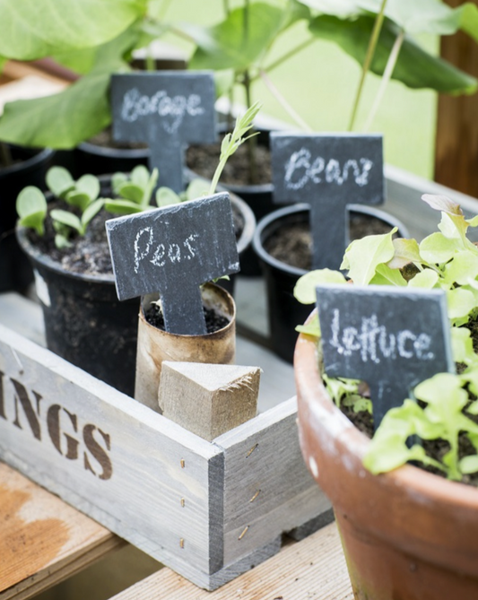 Greenhouse Slate Tags – T Shape