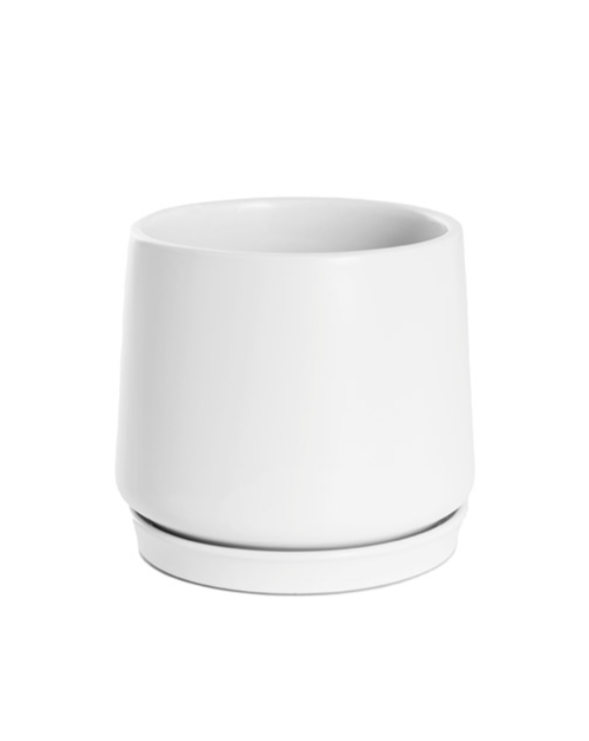 Loreto Belly Pot & Plate Matte White