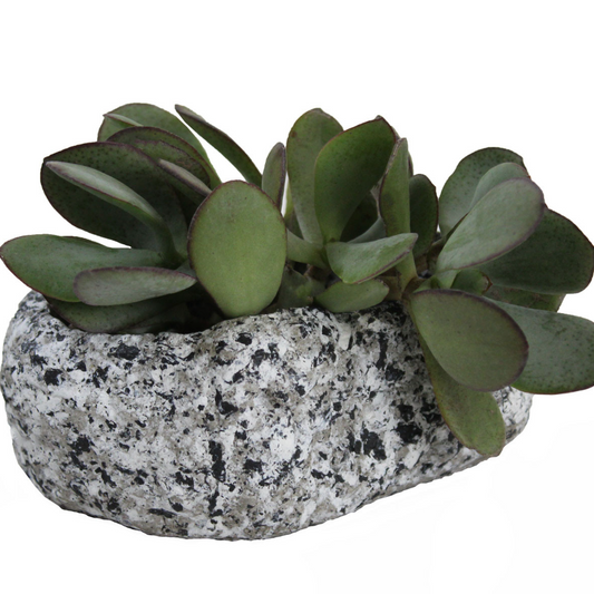 Dart Stone Bowl