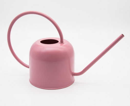 Pink watering can on a white background