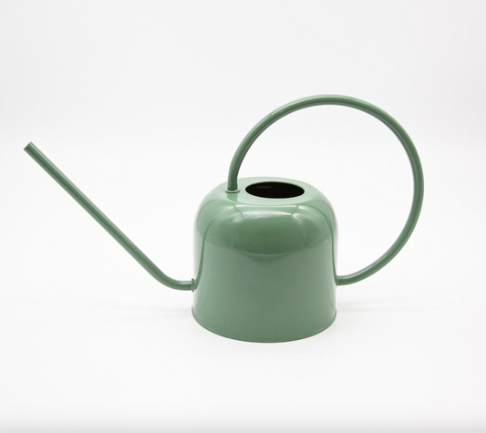 Green watering can on a white background