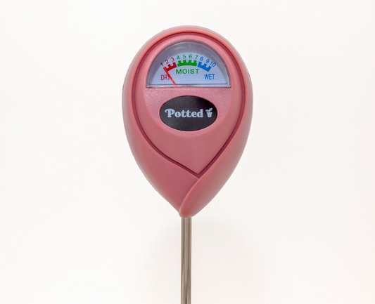 Pink soil moisture meter with 'Potted' branding on a white background