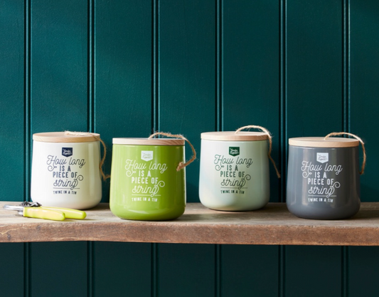Four cylindrical containers with labels on a wooden surface against a dark green paneled wall.