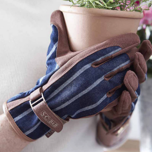 Sophie Conran Striped Glove - Blue