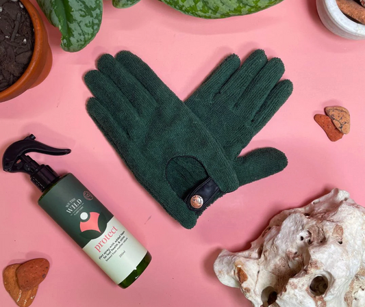 Leaf Health Duo-Leaf Cleaning Kit
