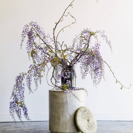 Ikebana Unbound