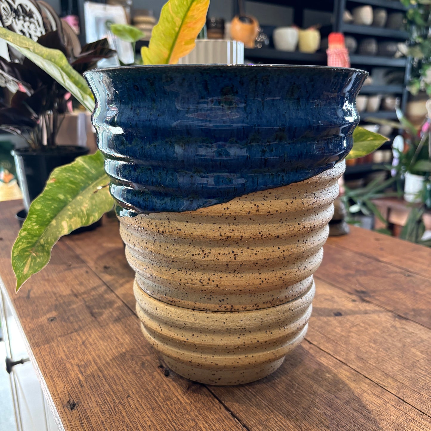 Small Ribbed V Planter by TONiC Ceramics
