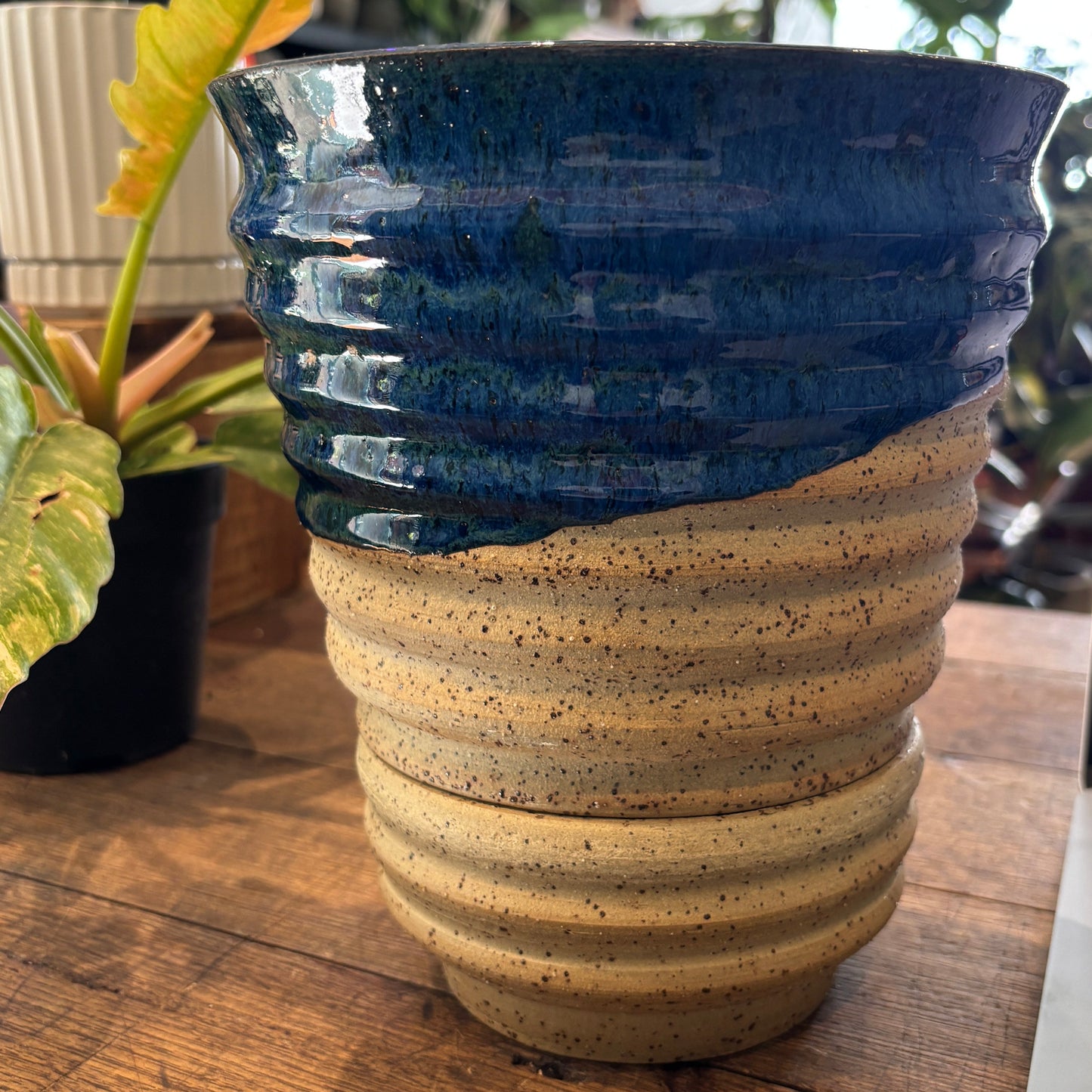 Small Ribbed V Planter by TONiC Ceramics