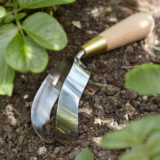 A curved metal hand trowel with a light wood handle and brass ferrule resting in dark garden soil among green plant leaves.