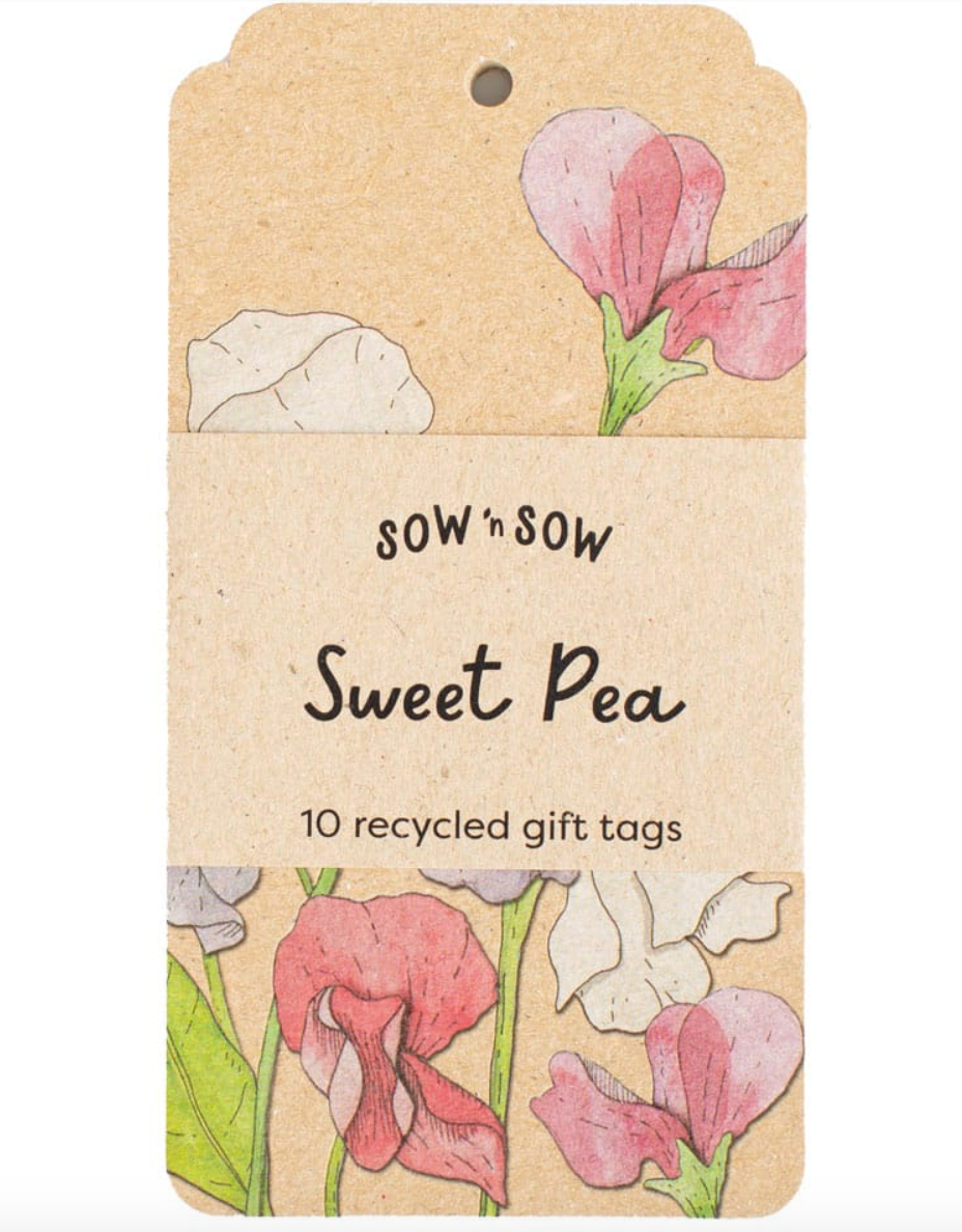 Pack of recycled gift tags with sweet pea design on a beige background