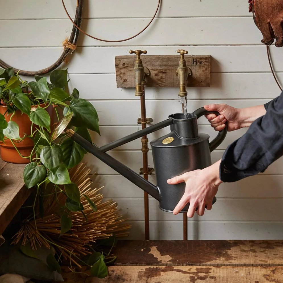 Person using a large black watering can to water plants in a rustic indoor setting.