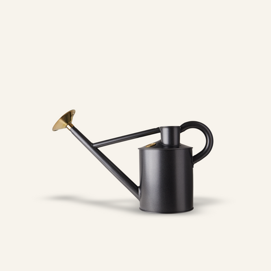 Black watering can with gold nozzle on a white background