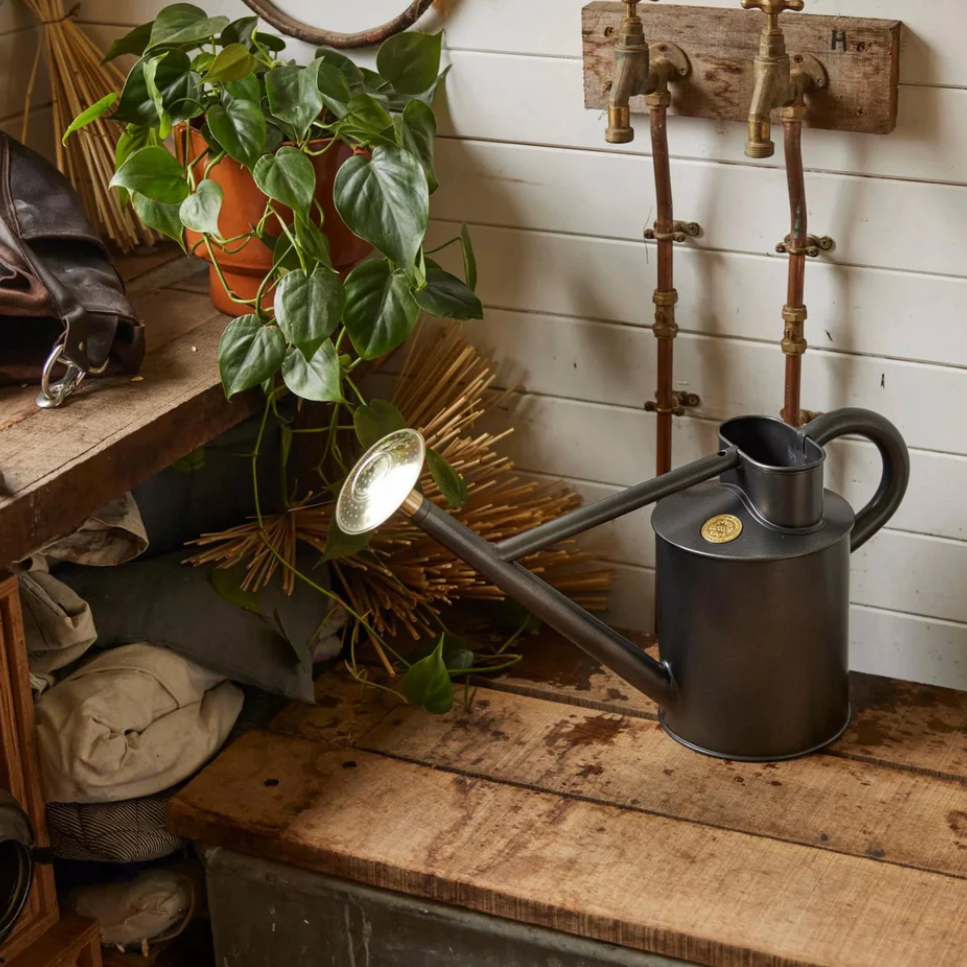 Black watering can on a wooden surface with a plant and rustic decor in the background.