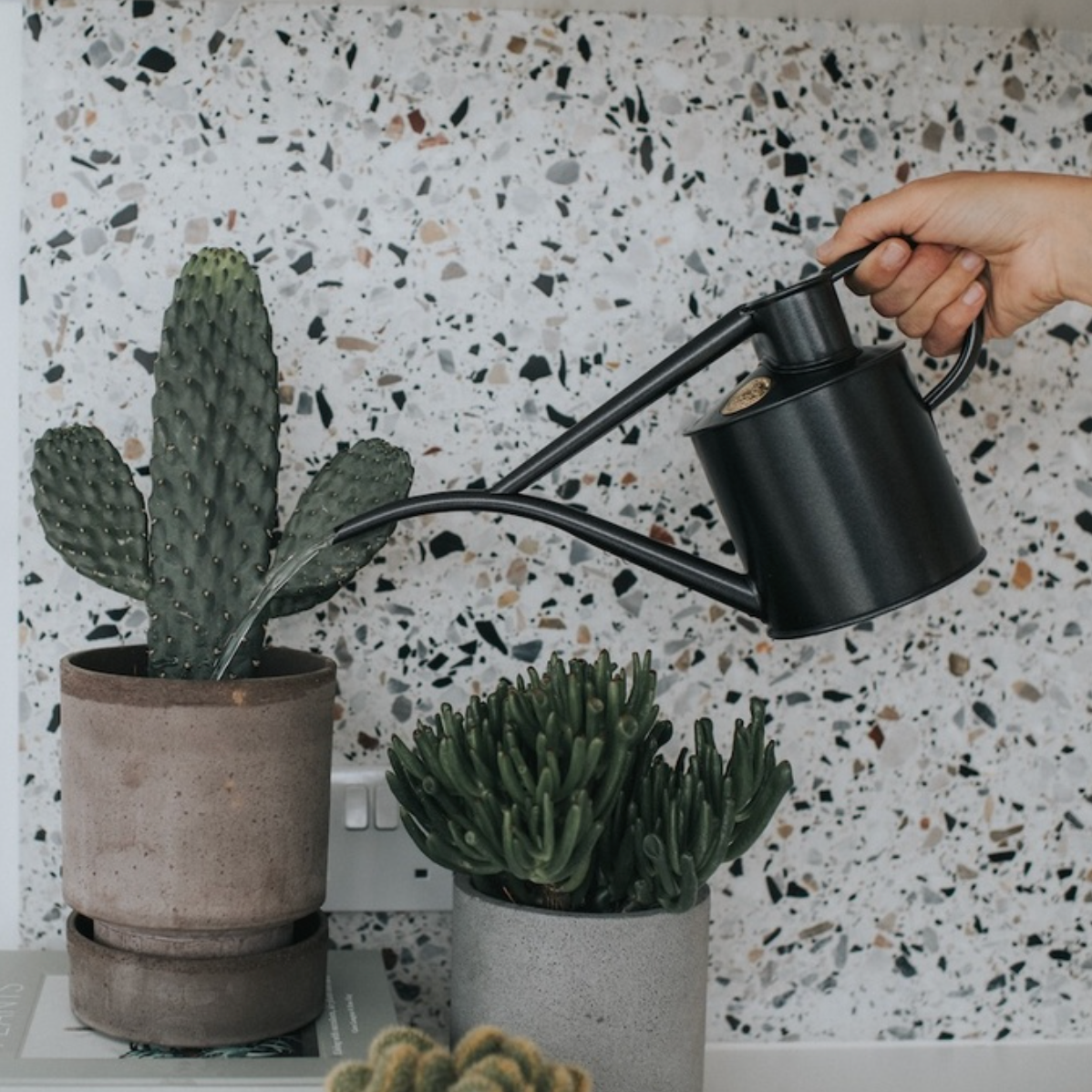 A hand holding a matte black metal watering can pours water into a potted cactus on a shelf against a white and black speckled terrazzo wall.